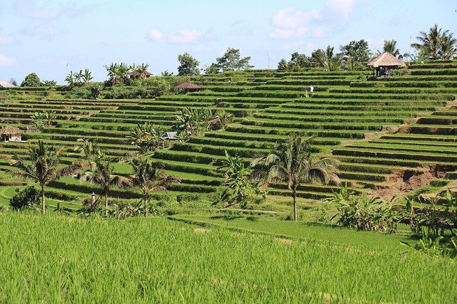 Discover Tabanan: Temples, Nature, and Recreation